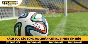 Cách Đọc Kèo Bóng Đá Chuẩn Chỉ Sau 5 Phút Tìm Hiểu