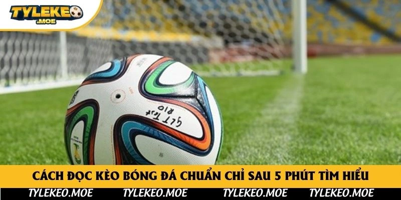 Cách Đọc Kèo Bóng Đá Chuẩn Chỉ Sau 5 Phút Tìm Hiểu