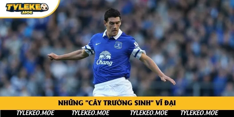 Những "cây trường sinh" vĩ đại