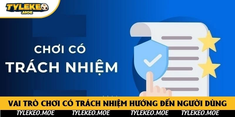 Vai trò chơi có trách nhiệm hướng đến người dùng
