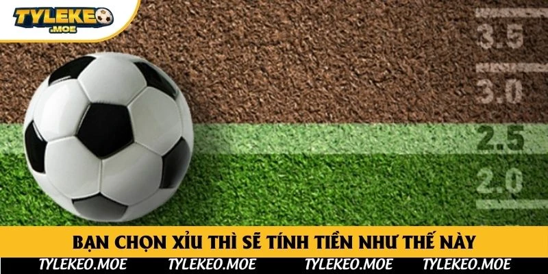 Bạn chọn xỉu thì sẽ tính tiền như thế này