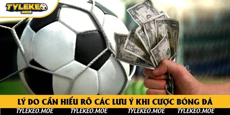 Lý do cần hiểu rõ các lưu ý khi cược bóng đá