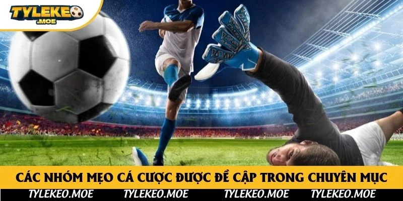 Các nhóm mẹo cá cược được đề cập trong chuyên mục