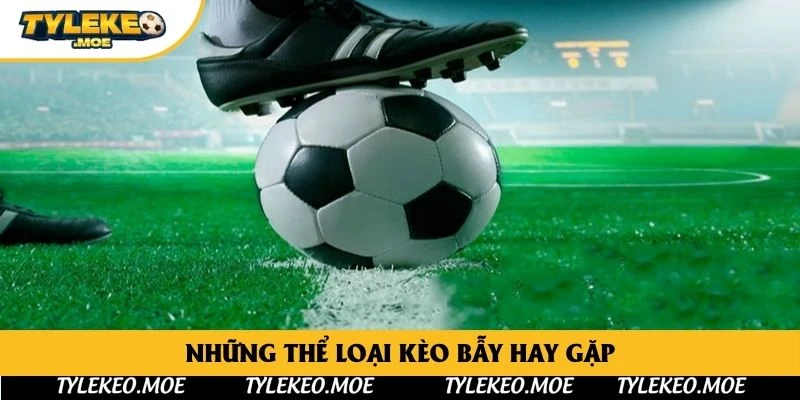 Những thể loại kèo bẫy hay gặp