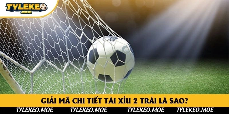 Giải mã chi tiết tài xỉu 2 trái là sao?