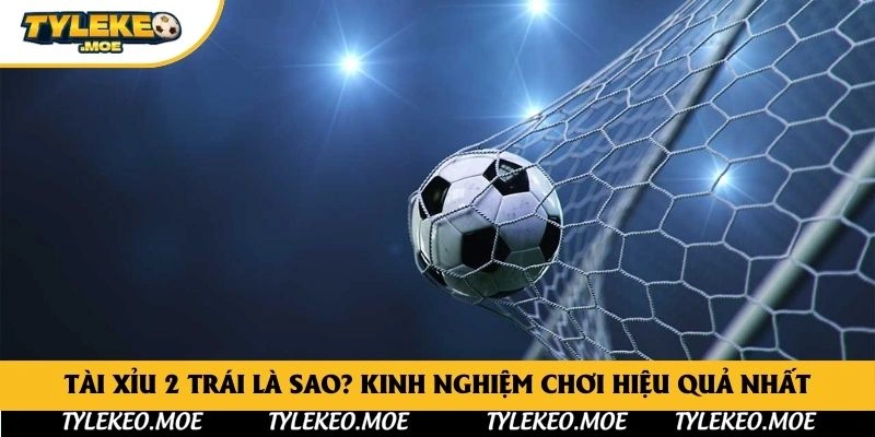 Tài xỉu 2 trái là sao? Kinh nghiệm chơi hiệu quả nhất