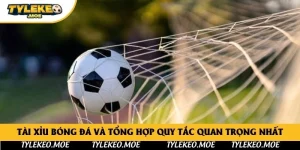 Tài Xỉu Bóng Đá Và Tổng Hợp Quy Tắc Quan Trọng Nhất