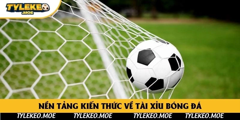 Nền tảng kiến thức về tài xỉu bóng đá