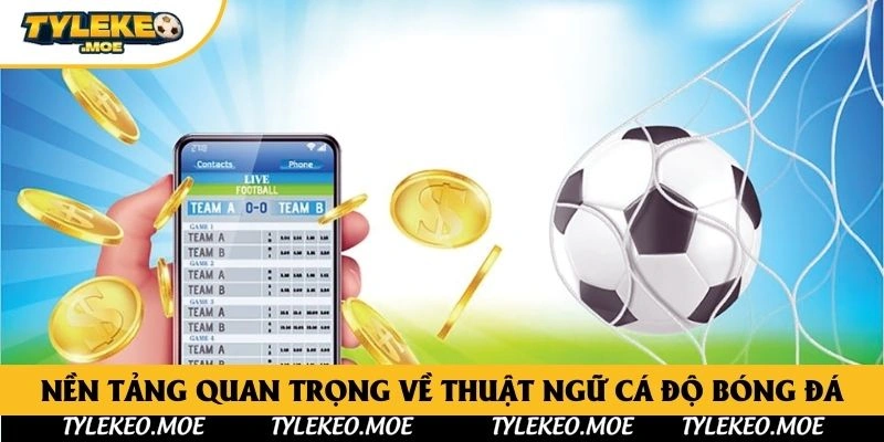 Nền tảng quan trọng về thuật ngữ cá độ bóng đá