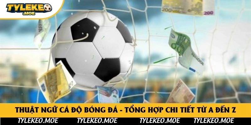 Thuật Ngữ Cá Độ Bóng Đá - Tổng Hợp Chi Tiết Từ A Đến Z