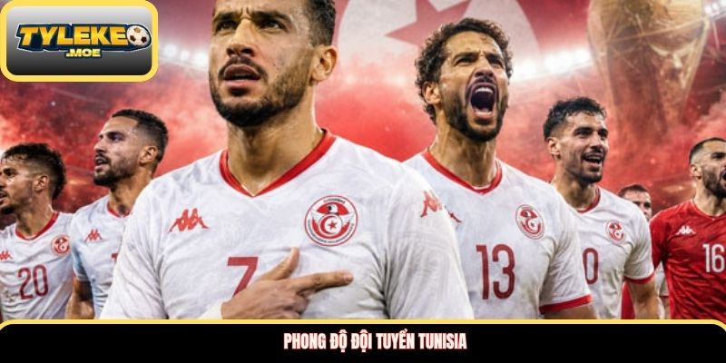 Phong độ Đội tuyển Tunisia